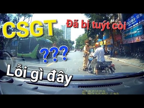 bac cub bi csgt tuyt coi loi gi cac bac nhi