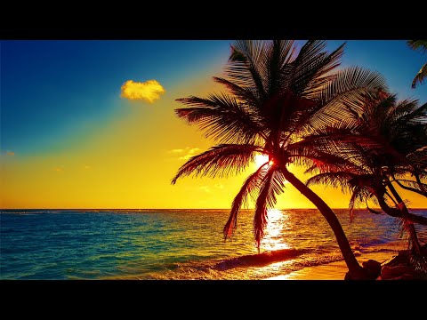 beautiful relaxing peaceful music calm music 24 7 tropical shores by tim janis