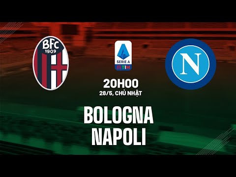 bologna napoli 20h00 ngay 28 5 link xem truc tiep vong 37 serie a