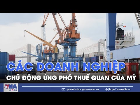 cac doanh nghiep chu dong ung pho thue quan cua my vna