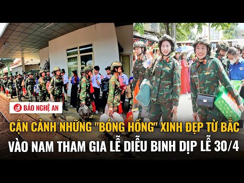 can canh nhung bong hong xinh dep tu bac vao nam tham gia le dieu binh dip le 30 4