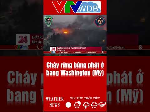 chay rung bung phat o bang washington my vtvwdb
