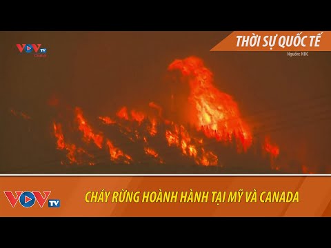 chay rung hoanh hanh tai my va canada