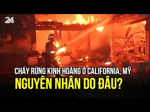 chay rung kinh hoang o california my nguyen nhan do dau vtv24