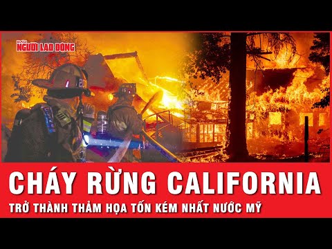 chay rung o california co the pha huy kinh te my con so thiet hai len den dau tin the gioi