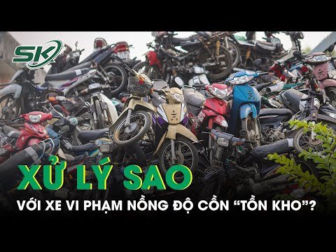 chu phuong tien vi pham nong do con khong den lay xe bi tam giu xu ly the nao skds