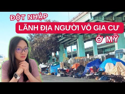 cuoc song nguoi vo gia cu o my hien nay