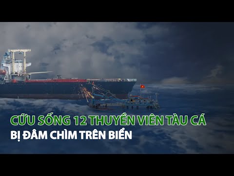 cuu song 12 thuyen vien tau ca bi dam chim tren bien vtc14