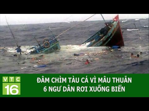 dam chim tau ca vi mau thuan 6 ngu dan roi xuong bien vtc16