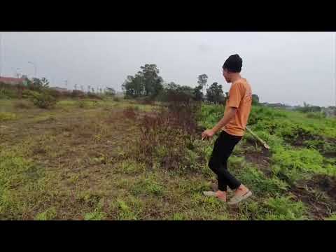 di san bat chuot cung hai mom