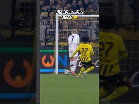 did it touch the floor f09fa494