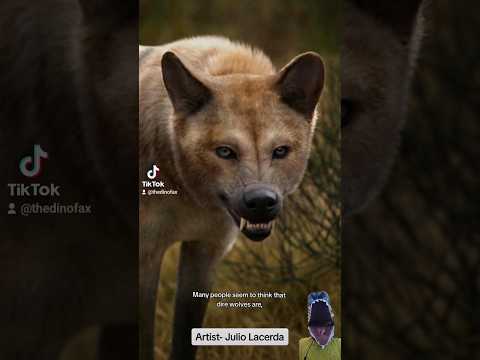 dire wolf evolution