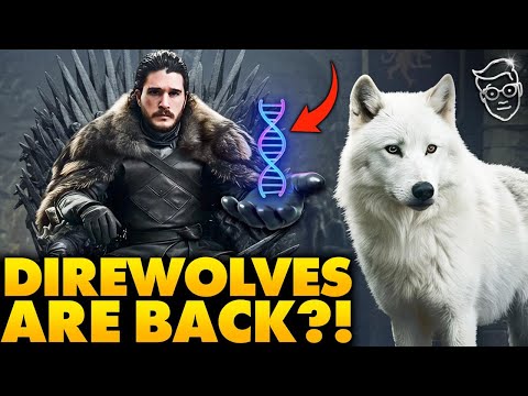extinct dire wolf brought back to life using ancient dna real life jurassic park game of thrones