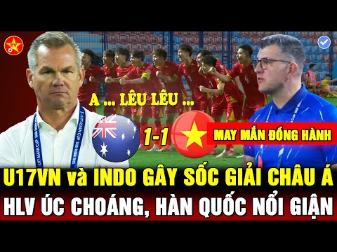 f09f9296u17 viet nam khien uc nga ngua cdv indo ha he bao han noi gian thuong tang the thao vn thay doi