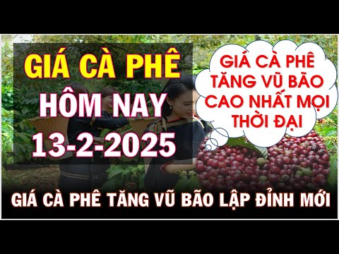 gia ca phe hom nay ngay 13 2 2025gia ca phe tang manh vu bao lap dinh moi tren tg va trong nuoc
