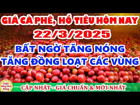 gia ca phe hom nay ngay 22 3 2025 gia ca phe tang nong theo san the gioi