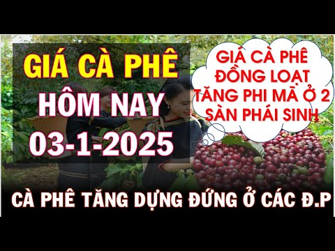 gia ca phe hom nay ngay 3 1 2025gia ca phe dong loat tang phi ma o 2 san va trong nuoc