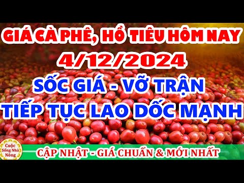 gia ca phe hom nay ngay 4 12 2024 gia ca phe lao doc manh theo san the gioi