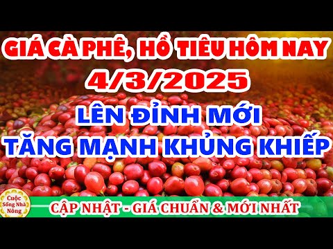 gia ca phe hom nay ngay 4 3 2025 gia ca phe tang khung khiep theo san the gioi