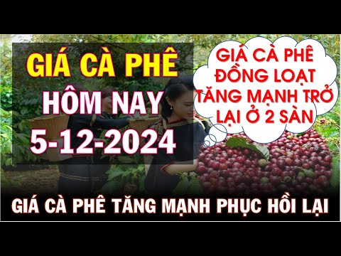 gia ca phe hom nay ngay 5 12 2024gia ca phe tang manh tro lai o 2 san va trong nuoc