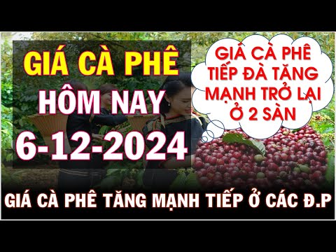 gia ca phe hom nay ngay 6 12 2024tiep tuc tang manh phuc hoi tro lai o 2 san tg va trong nuoc