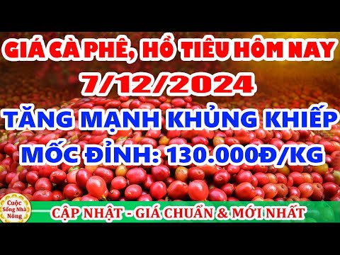 gia ca phe hom nay ngay 7 12 2024 tang manh khung khiep theo san the gioi