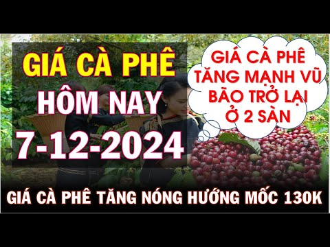 gia ca phe hom nay ngay 7 12 2024gia ca phe tiep da tang nong tro lai tren tg va trong nuoc