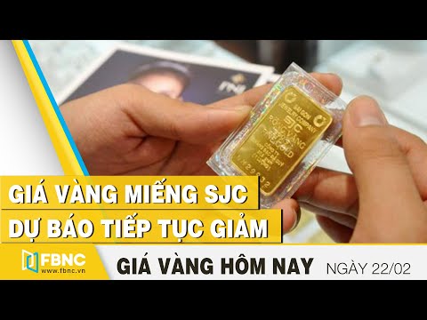 gia vang moi nhat 22 2 vang mieng sjc du bao tiep tuc giam fbnc