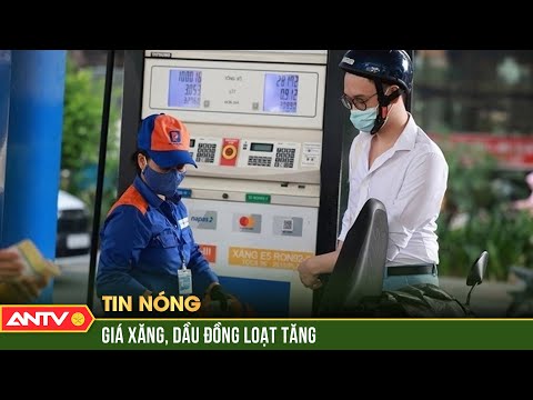 gia xang dau hom nay 28 11 the gioi giam trong nuoc tang antv