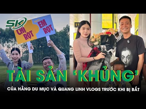 he lo khoi tai san khung cua hang du muc va quang linh vlogs truoc khi vuong vong lao ly skds