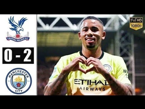 highlight crystal palace 0 2 man city