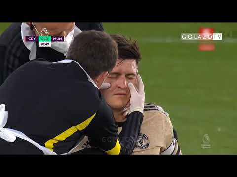 highlights manchester united vs crystal palace 2 0