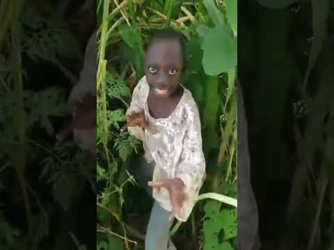 kiet ha tinh doi dau tengen girl shorts