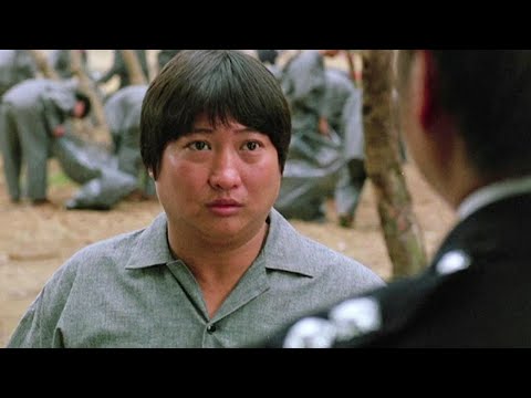 kim than loan the hong kim bao phim hanh dong vo thuat hong kong xua cuc hay