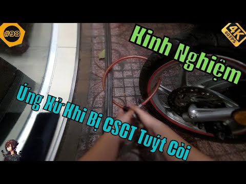 kinh nghiem ung xu khi bi csgt tuyt coi noctistuan