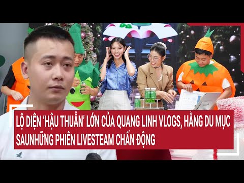 lo dien hau thuan lon cua quang linh vlogs hang du muc sau nhung phien livesteam chan dong