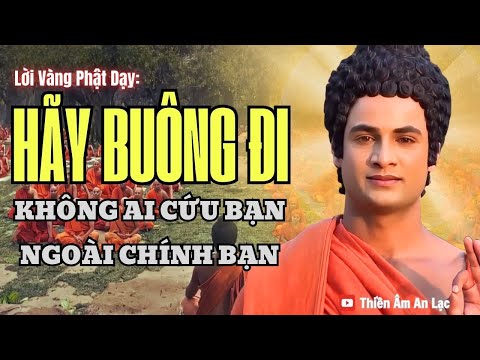 loi phat day khong ai cuu ban ngoai chinh ban