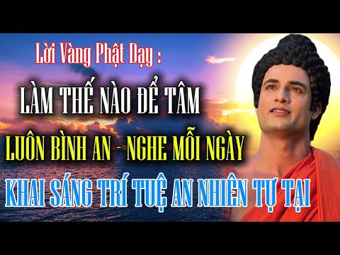 loi phat day lam the nao de tam luon duoc binh an nghe moi ngay khai sang tri tue an nhien tu tai