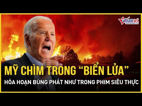 los angeles chim trong bien lua hoa hoan bung phat nhu trong phim sieu thuc bao vietnamnet