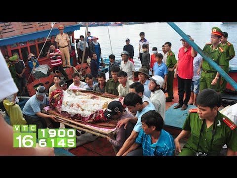 malaysia truy duoi tau ca viet nam 1 ngu dan thiet mang vtc16