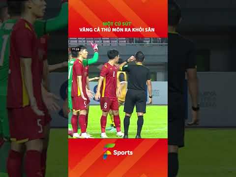 mot cu sut sut vang ca thu mon f sports