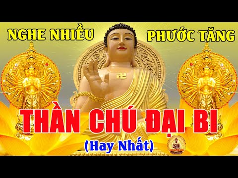 mung 10 am tung chu dai bi quy nhan phu tro tieu tan benh vuot qua dai nan cau gi duoc do ngu ngon
