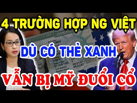 nguoi viet o my du co the xanh van bi truc xuat neu thuoc 4 truong hop nay triet ly tinh hoa