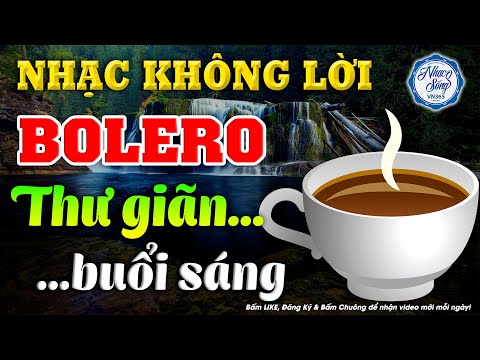 nhac khong loi rumba thu gian buoi sang hoa tau rumba guitar nhac bolero danh cho quan cafe