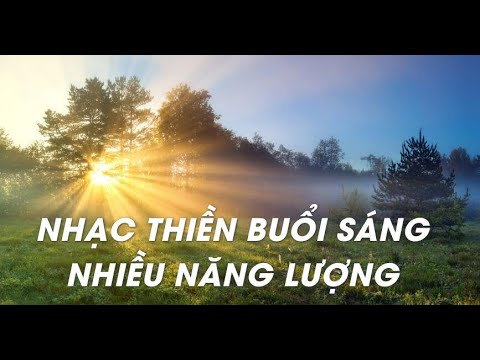 nhac thien buoi sang tran day nang luong tieng chim hot thu hut dieu tot dep nhac thu gian