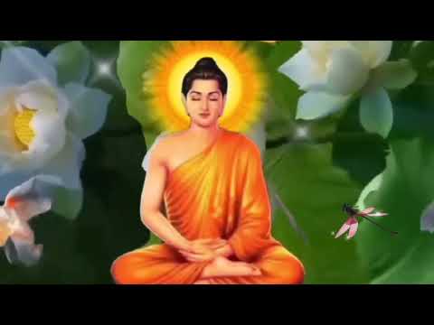 nhac thien tinh tam an nhien tu tai huong phat