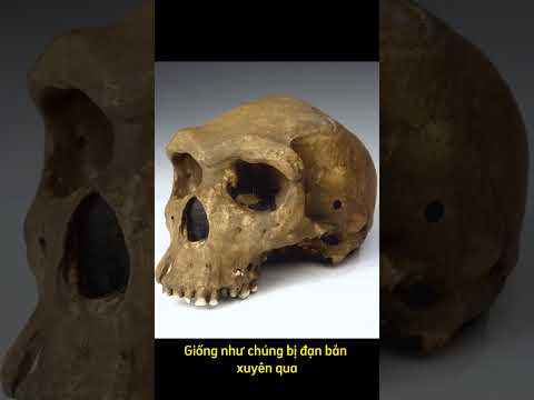 nhung lo dan bi an trong hop so cua nguoi tien su