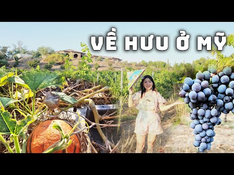 o my nguoi viet song ra sao khi ve gia cuoc song vung nong thon o my nhu the nao kt food