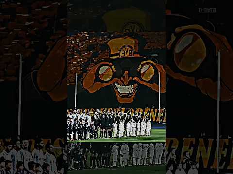 rare ultra fans f09f988e shorts football viral bvb