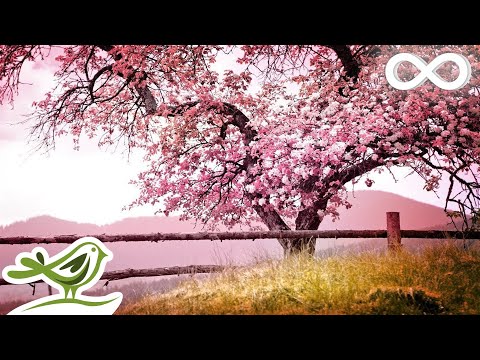 relaxing piano music romantic music beautiful relaxing music sleep music stress relief e29885122